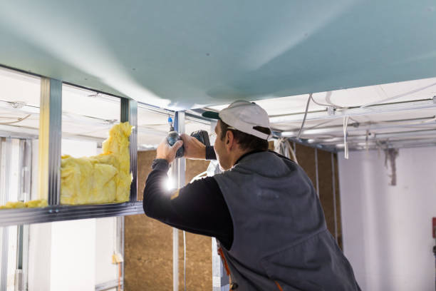 Best Insulation Maintenance and Repair in Abbeville, SC