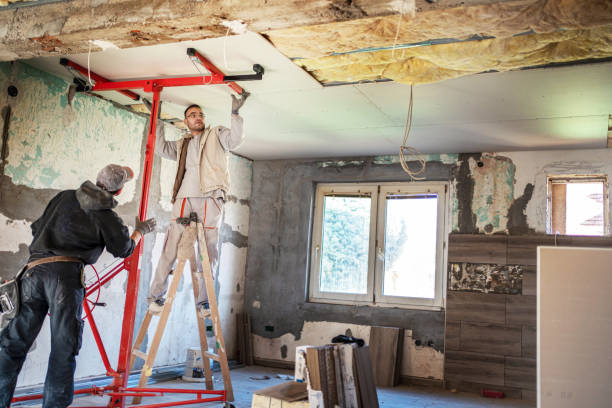 Best Residential Insulation in Abbeville, SC
